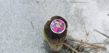 180kg tartóerejő csajos mágnes szett.jpg